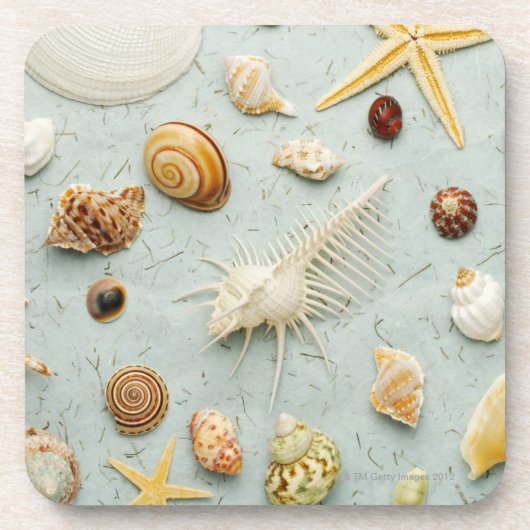 Dessous-de-verre Coquillages assortis sur l'arrière - plan bleu (Devant)