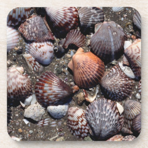 Dessous-de-verre Coquillages colorés crantés sur un sable noir
