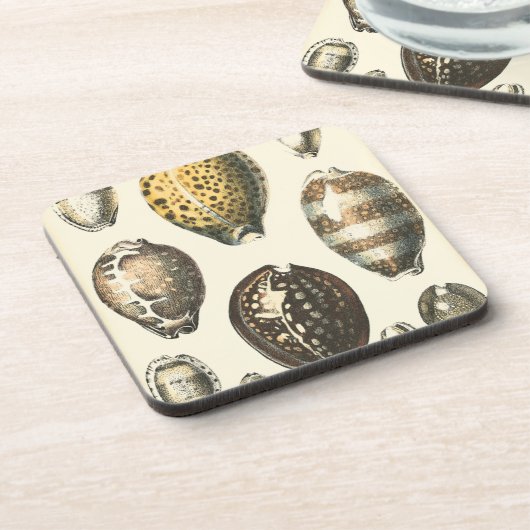 Dessous-de-verre Coquillages De Forme Unique (Côté gauche)