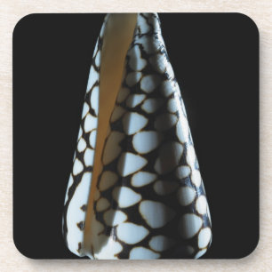 Dessous-de-verre Coquille 2 de cône