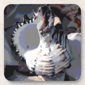 Dessous-de-verre Coquille de mer rayée (Devant)