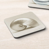 Dessous-de-verre Coquille Pearlised de mer de nautilus (Côté gauche)