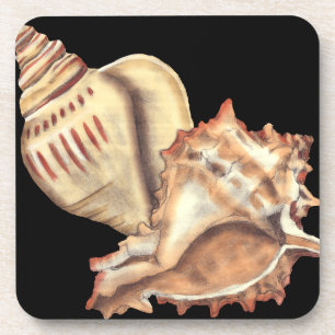 Dessous-de-verre Coquilles artistiques de conque