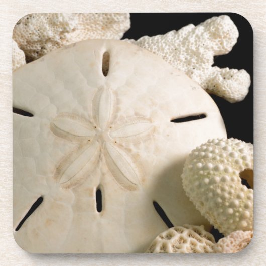 Dessous-de-verre Coquilles blanches et dollar de sable (Devant)