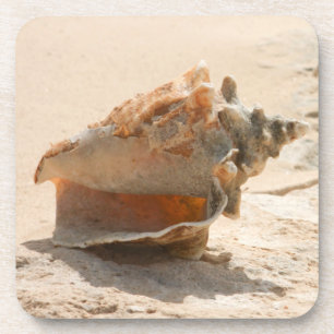 Dessous-de-verre Coquilles de mer sur la plage