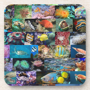 Dessous-de-verre Coral Reef Marine Life : Poissons et animaux, Mode