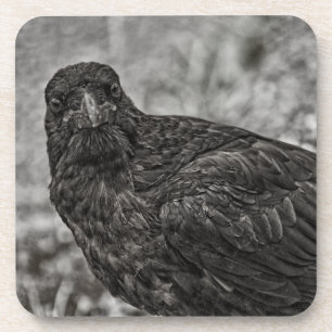 Dessous-de-verre Corbeau P9239