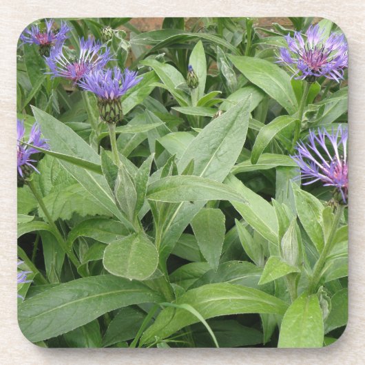 Dessous de verre Cork Cornflowers (Devant)