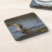 Dessous-de-verre Cormorant à double poitrine (Côté gauche)