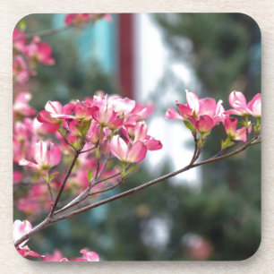 Dessous-de-verre Cornouiller rose