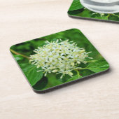 Dessous-de-verre Cornus sanguinea (Côté gauche)