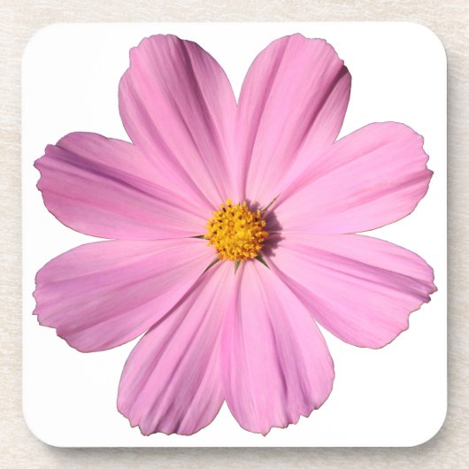 Dessous-de-verre Cosmos roses (Devant)