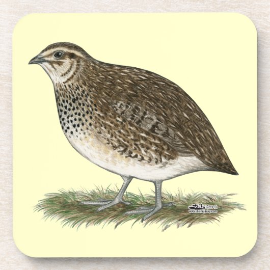Dessous-de-verre Coturnix Quail (Devant)