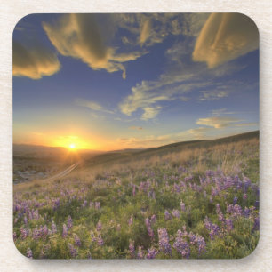 Dessous-de-verre Coucher de soleil sur les montagnes Bitterroot et 