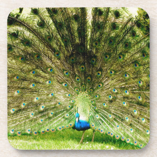 Dessous-de-verre Couleurs d'affichage de paquetage