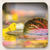 Dessous-de-verre Couleurs d'automne (Devant)