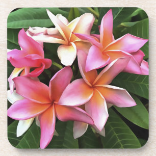 Dessous-de-verre Couronne De Fleur De Frangipani Rose Pâle