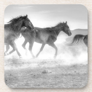 Dessous-de-verre Course de mustang