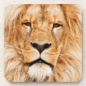 Dessous-de-verre Couvre-pain Lion (Devant)