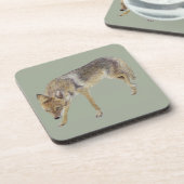 Dessous-de-verre Coyote (Côté gauche)