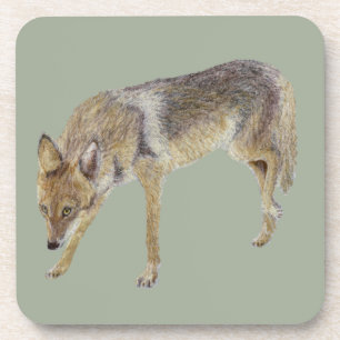 Dessous-de-verre Coyote