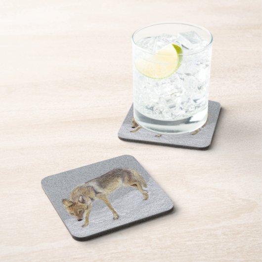 Dessous-de-verre Coyote (Côté Droit)