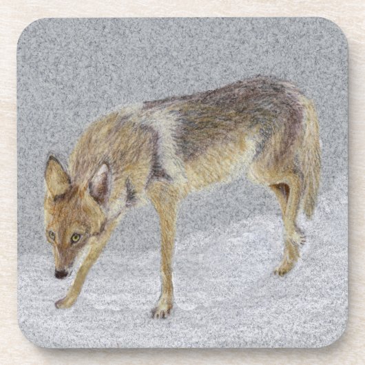 Dessous-de-verre Coyote (Devant)