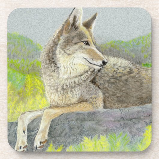 Dessous-de-verre Coyote Beverage Coaster (Devant)