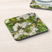 Dessous-de-verre Crassula ovata (Côté gauche)