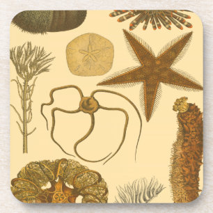 Dessous-de-verre Créatures sous-marines de mer