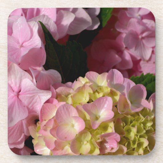Dessous-de-verre Crème rose Hydrangeas jaune rose vert floral (Devant)