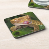 Dessous-de-verre Crested Gecko (Côté gauche)