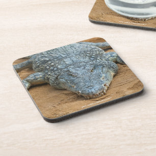 Dessous-de-verre Crocodile
