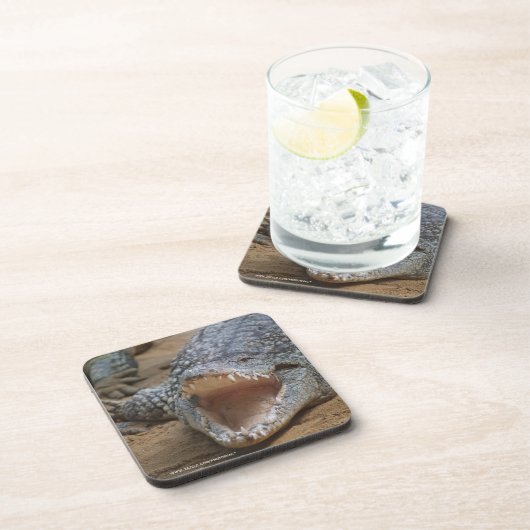 Dessous-de-verre Crocodile (Côté Droit)