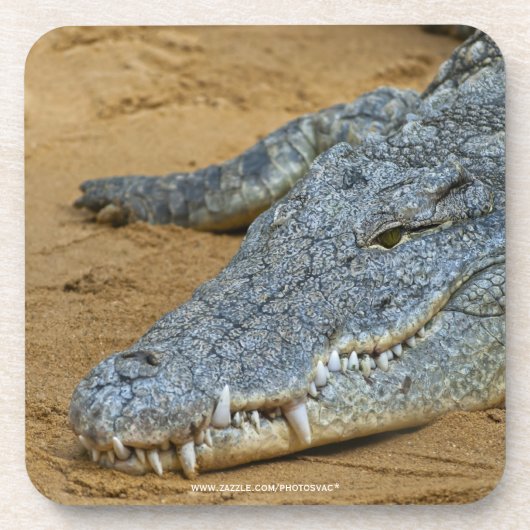 Dessous-de-verre Crocodile (Devant)