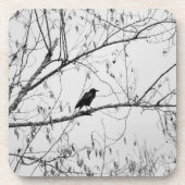 Dessous-de-verre Crow dans un Birch Tree (Devant)