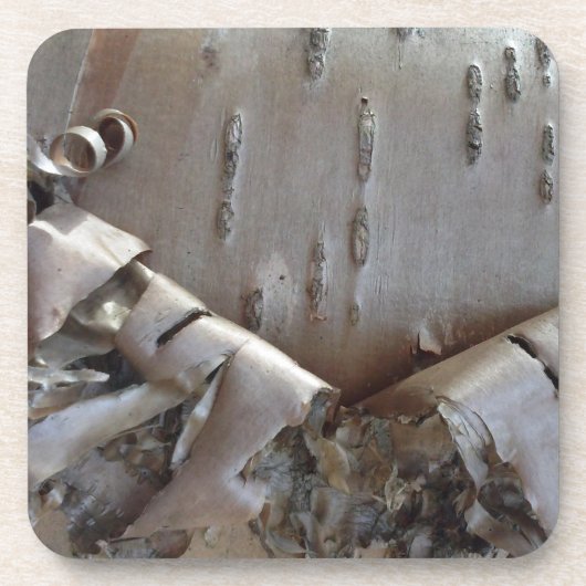 Dessous-de-verre Curly Birch Bark Tree Rustic (Devant)