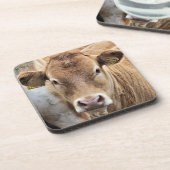 DESSOUS-DE-VERRE CUT CALF (Côté gauche)