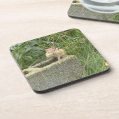 Dessous-de-verre Cute Chipmunk (Côté gauche)