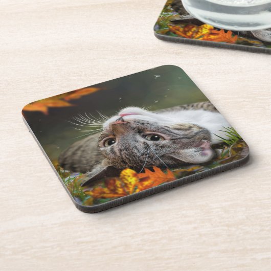 Dessous-de-verre Cute Daydreaming Tabby Chat dans une forêt automna (Côté gauche)