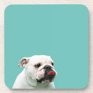 Dessous-de-verre Cute dog white Bulldog