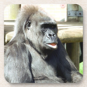 DESSOUS-DE-VERRE CUTE GORILLA