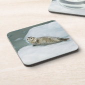 Dessous-de-verre Cute Harbor Seal on Snow (Côté gauche)