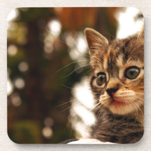 Dessous-de-verre Cute Kitten