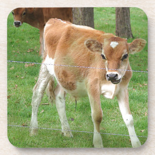 Dessous-de-verre Cute Little Calf