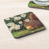Dessous-de-verre Cute Red Squirrel and Daisies (Côté gauche)