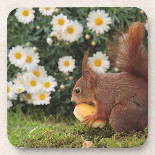 Dessous-de-verre Cute Red Squirrel and Daisies (Devant)