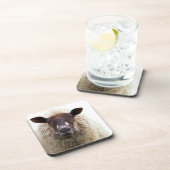 DESSOUS-DE-VERRE CUTE SHEEP (Côté Droit)