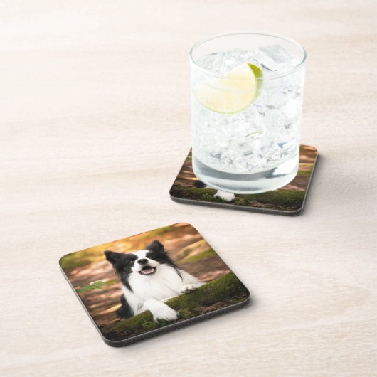 Dessous-de-verre Cutest Baby Animals | Black and White Border Colli (Côté Droit)