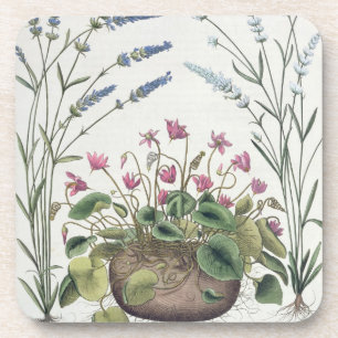 Dessous-de-verre Cyclamen et lavande : 1.Cyclamen Romanum ; 2.Spica